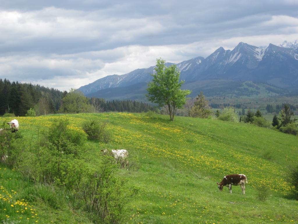Apartamenty I Pokoje Rodzinne Czarna Gora Bagian luar foto