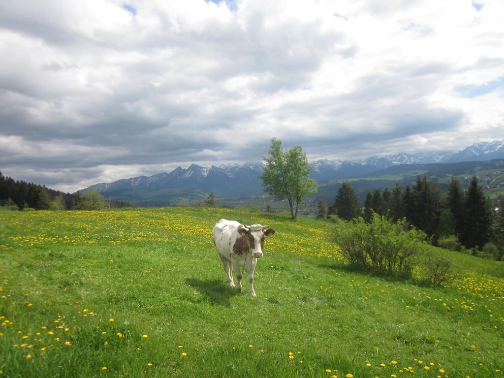 Apartamenty I Pokoje Rodzinne Czarna Gora Bagian luar foto